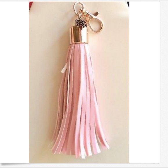 RN Caduceus Nursing Keychain Purse Charm Tassel Nurse Graduation Gift Zipper - Picture 6 of 8